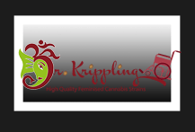 Dr Krippling Feminized Seeds