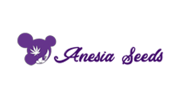 Anesia Feminized Seeds