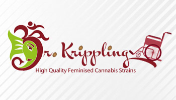 Dr Krippling Autoflowering Seeds