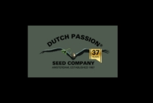 Dutch Passion