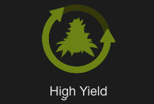 High Yield Strains