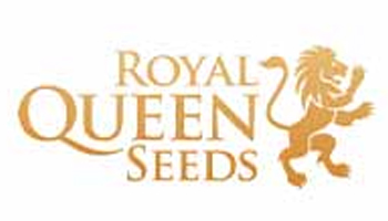 Royal Queen Seeds Autoflowering