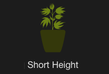 Short Height Strains